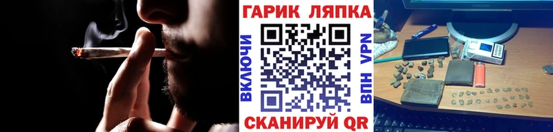 Купить где  Бикин  Гашиш Premium 