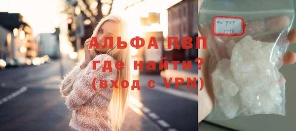 прущие грибы Зерноград