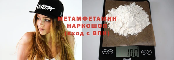 прущие грибы Зерноград