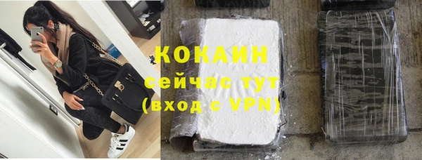 прущие грибы Зерноград