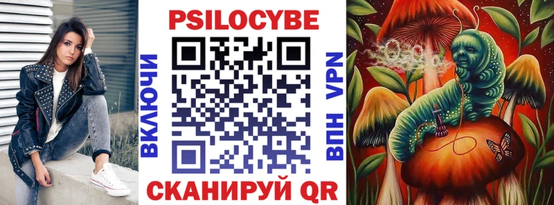Псилоцибиновые грибы Psilocybine cubensis  Купить где  Бикин 